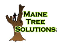 Maine Tree Solutions