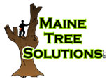 Maine Tree Solutions